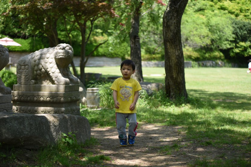 DSC_0597.jpg
