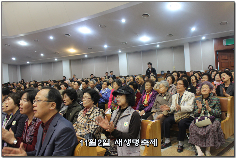 11월2일 새생명축제.jpg