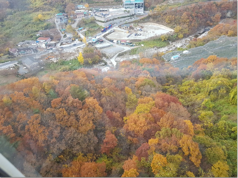 20181109_163900.jpg