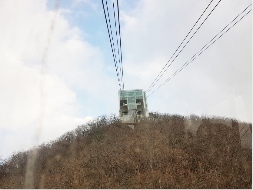 20181109_154815.jpg