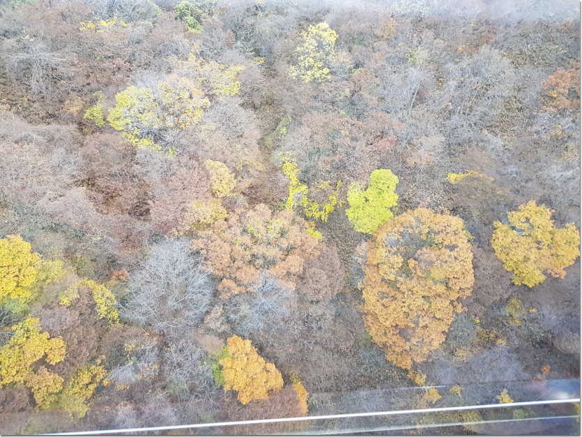 20181109_154225.jpg