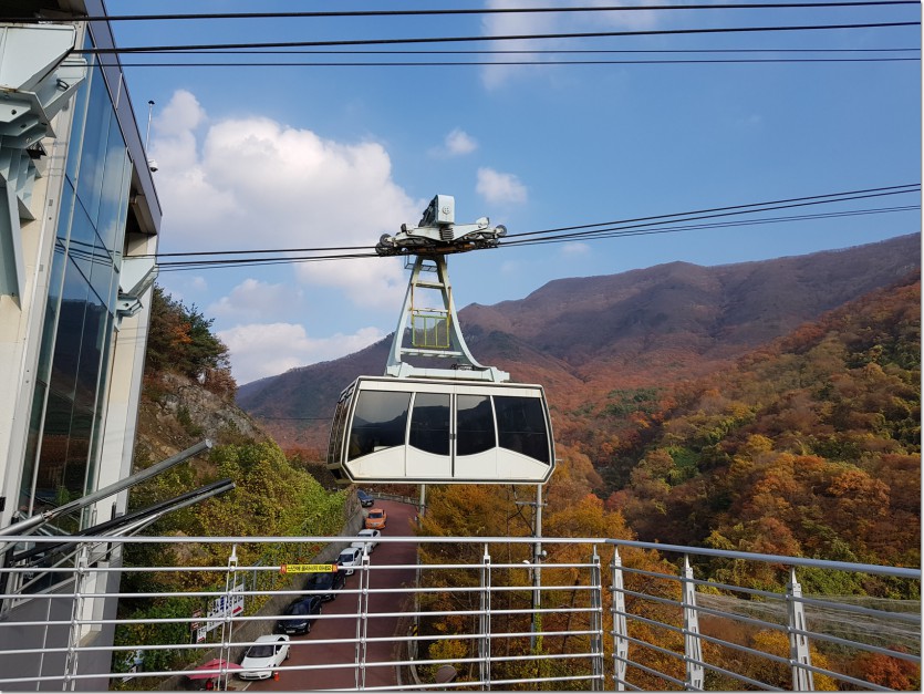 20181109_150850.jpg