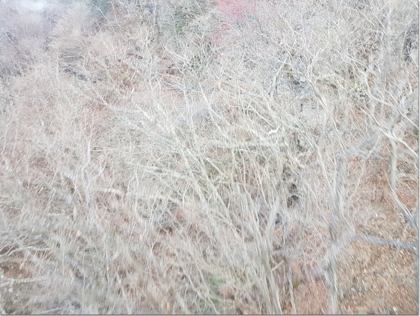 20181109_154826.jpg