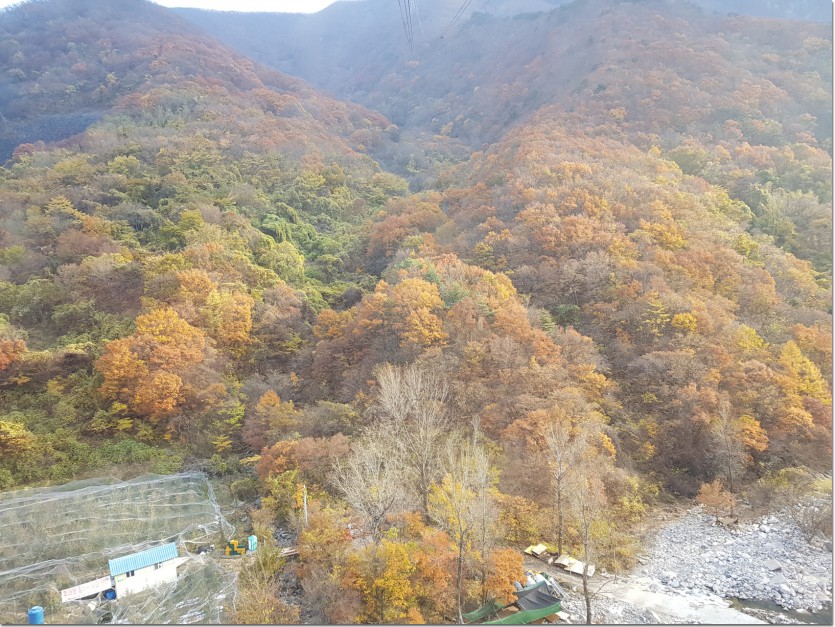 20181109_153858.jpg