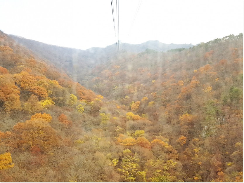 20181109_154104.jpg