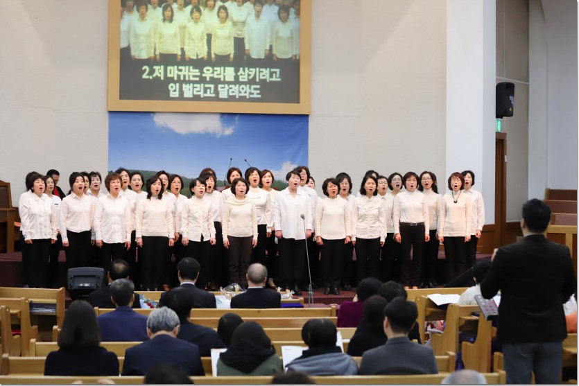 20190227-084.jpg