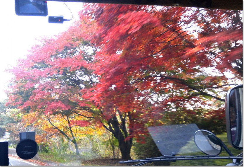 20171110_152621.jpg