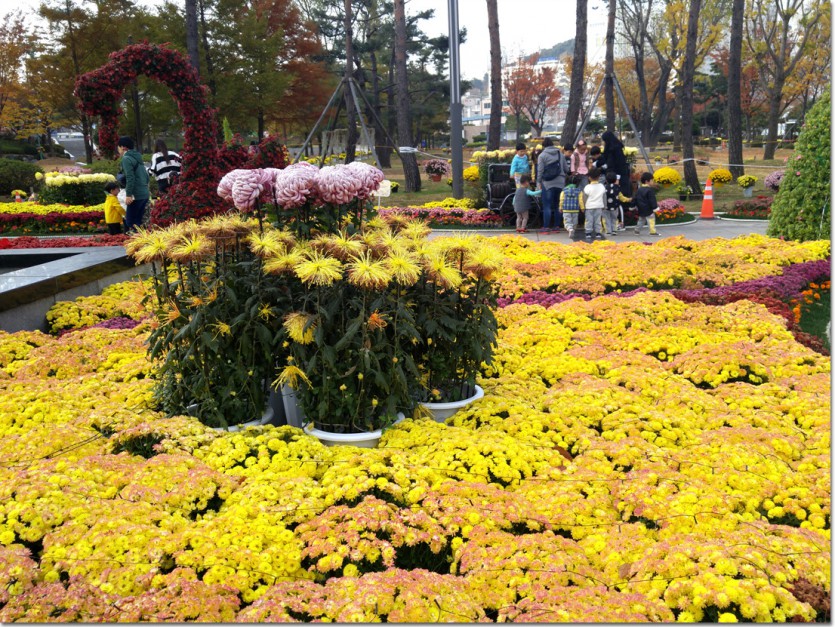 20171110_102257.jpg