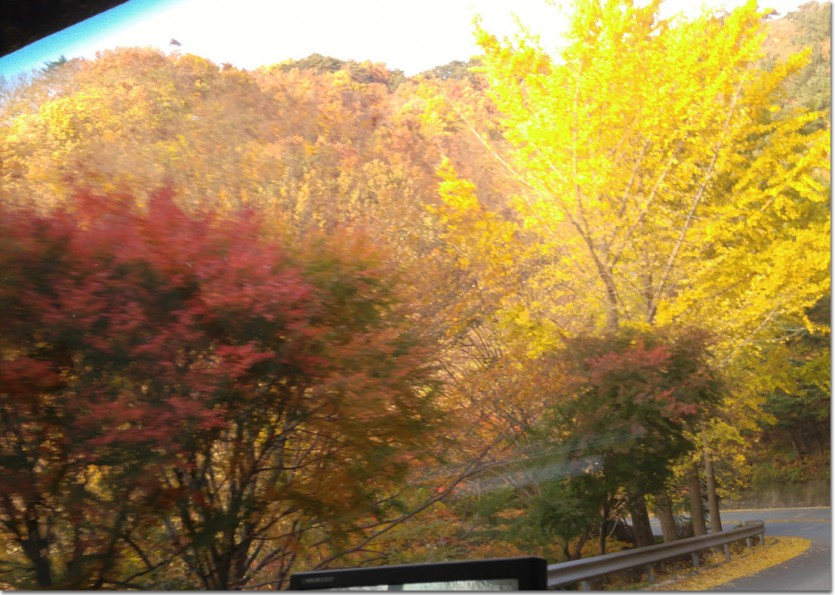 20171110_161509.jpg