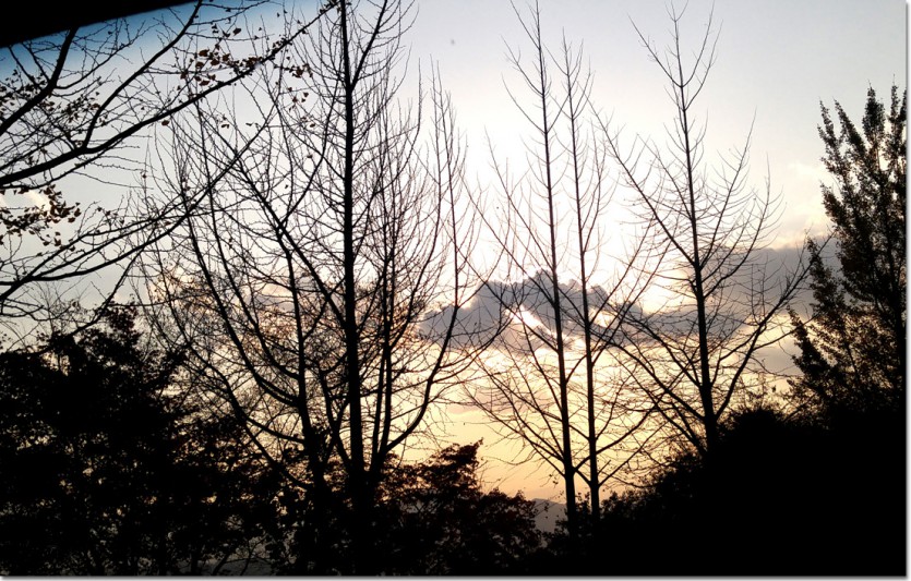20171110_161813.jpg
