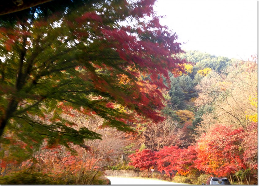 20171110_161404.jpg