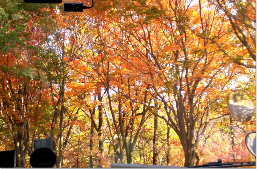 20171110_152148.jpg