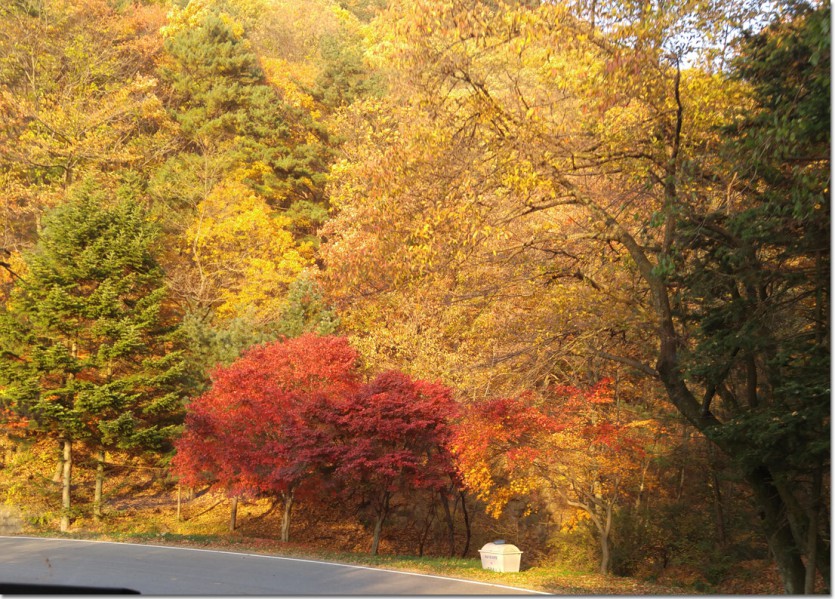 20171110_161622.jpg