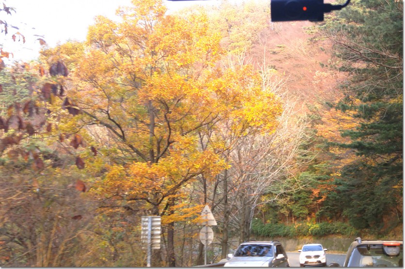 20171110_161258.jpg