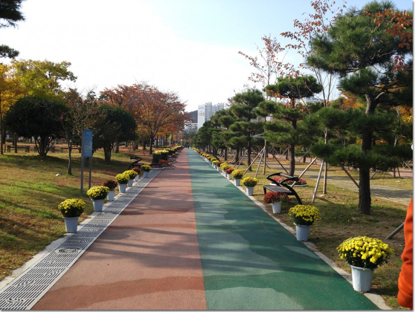 20171110_095902.jpg