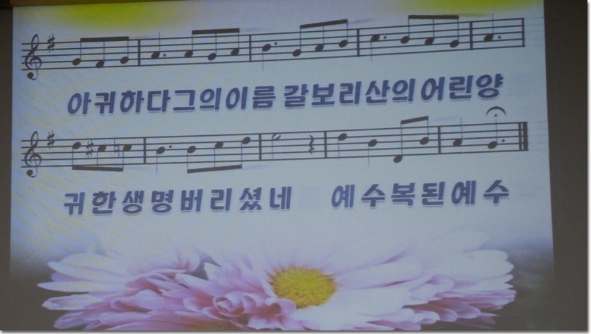 20170830_101113_HDR.jpg