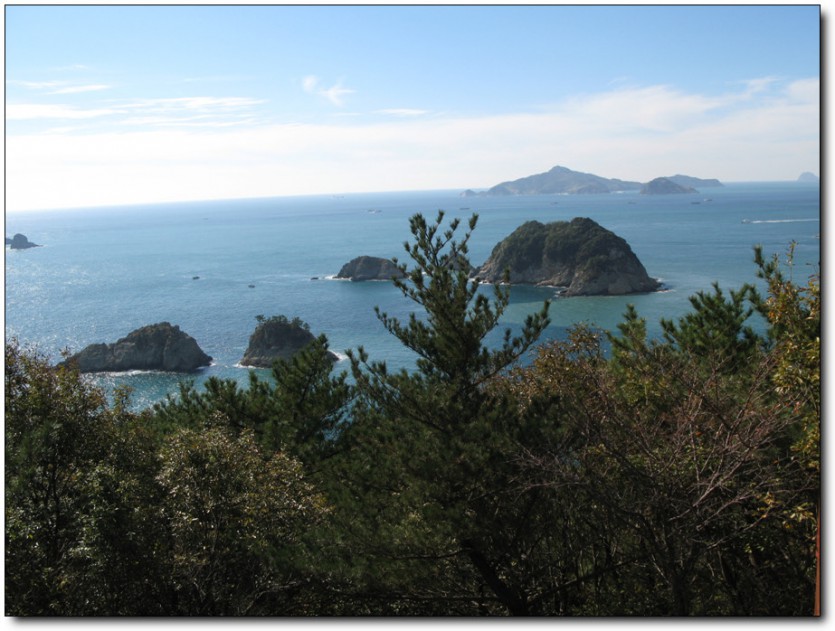 IMG_1795.jpg