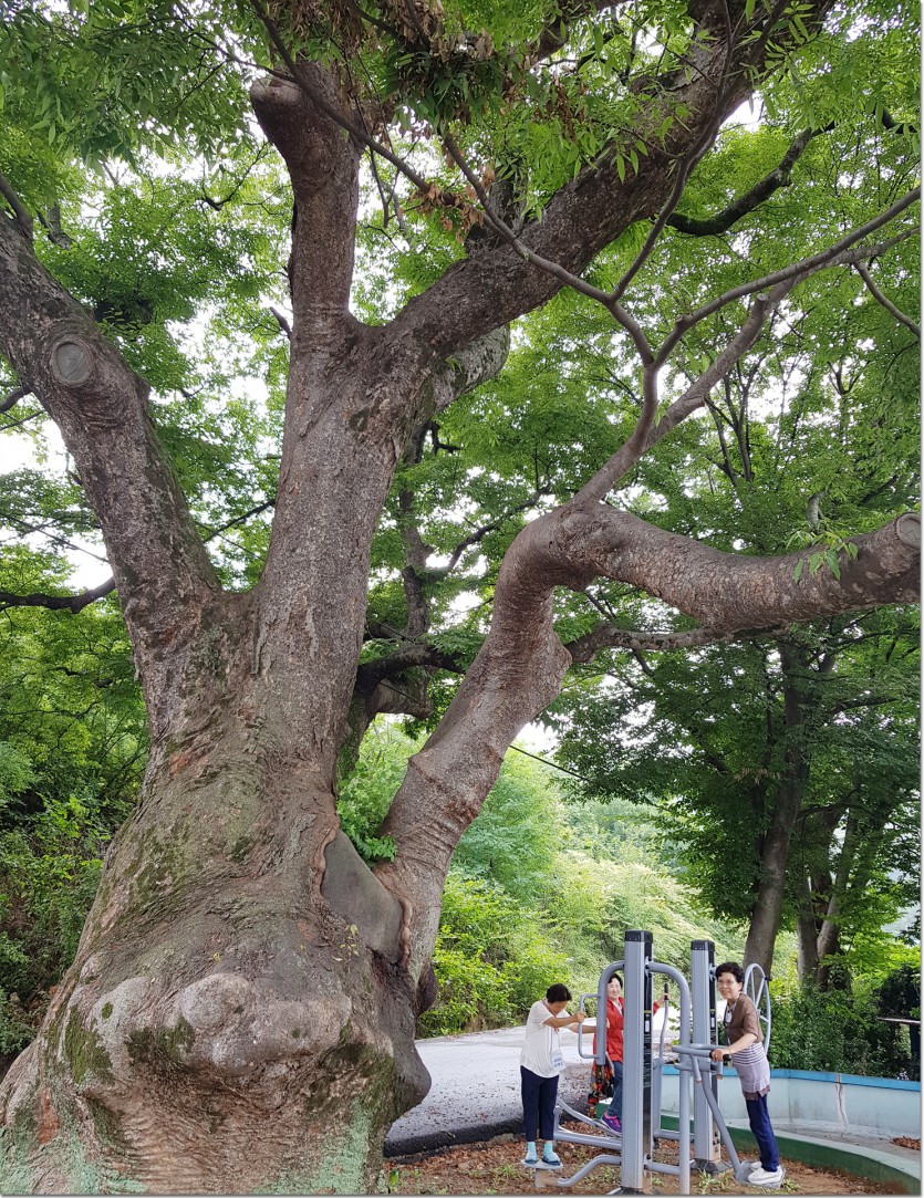 20190828_112950.jpg
