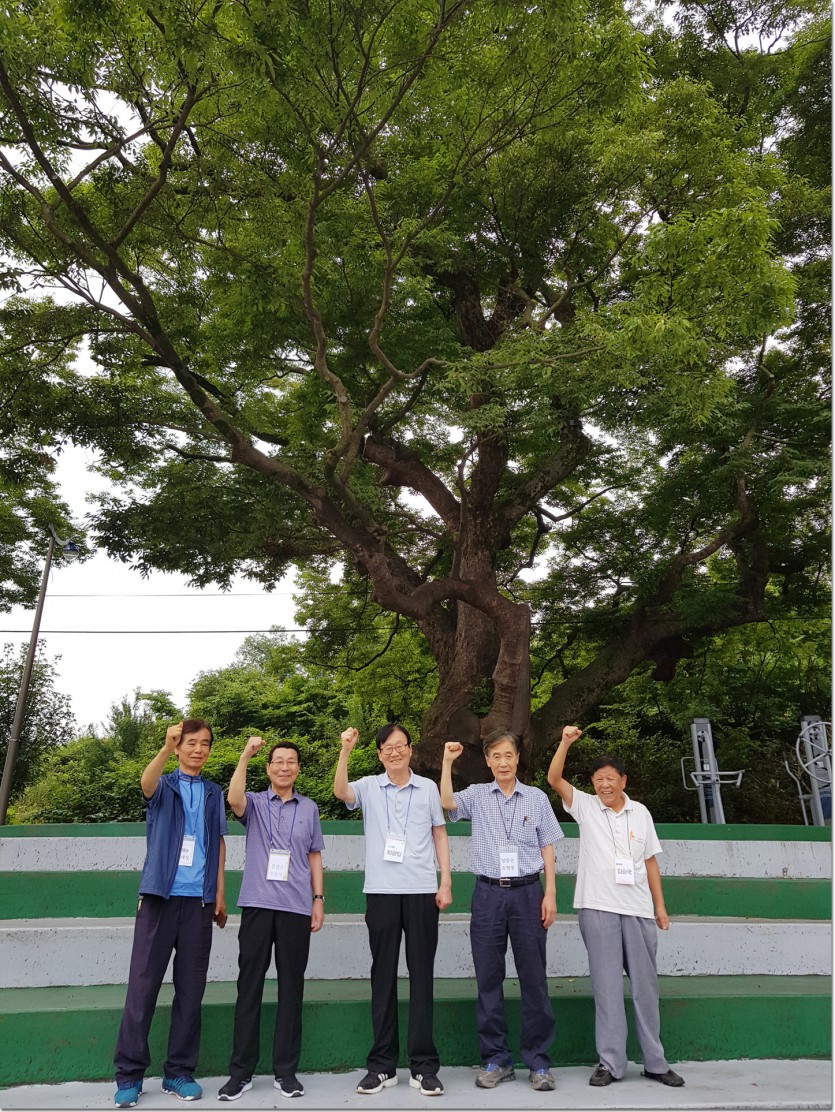 20190829_111215.jpg