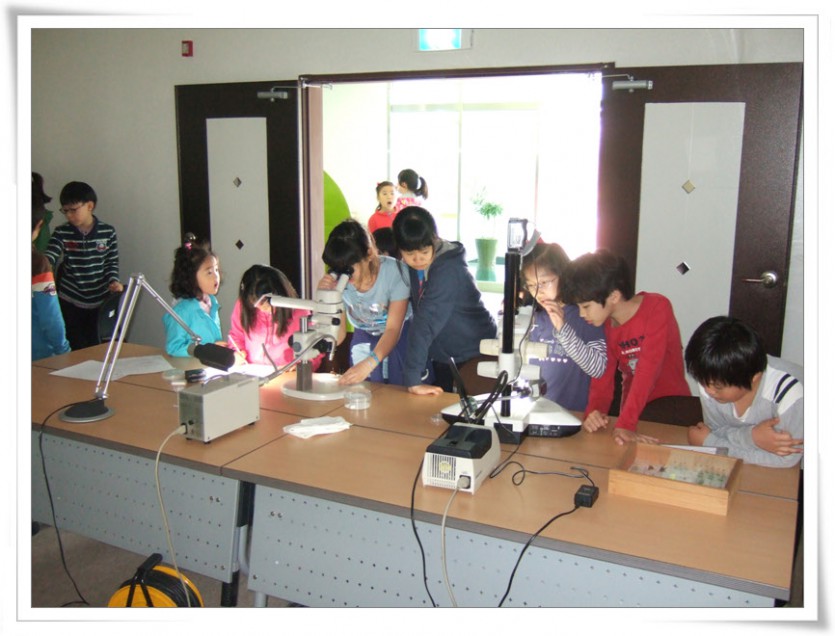 22곤충관찰.jpg