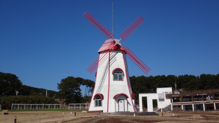 DSC08.jpg