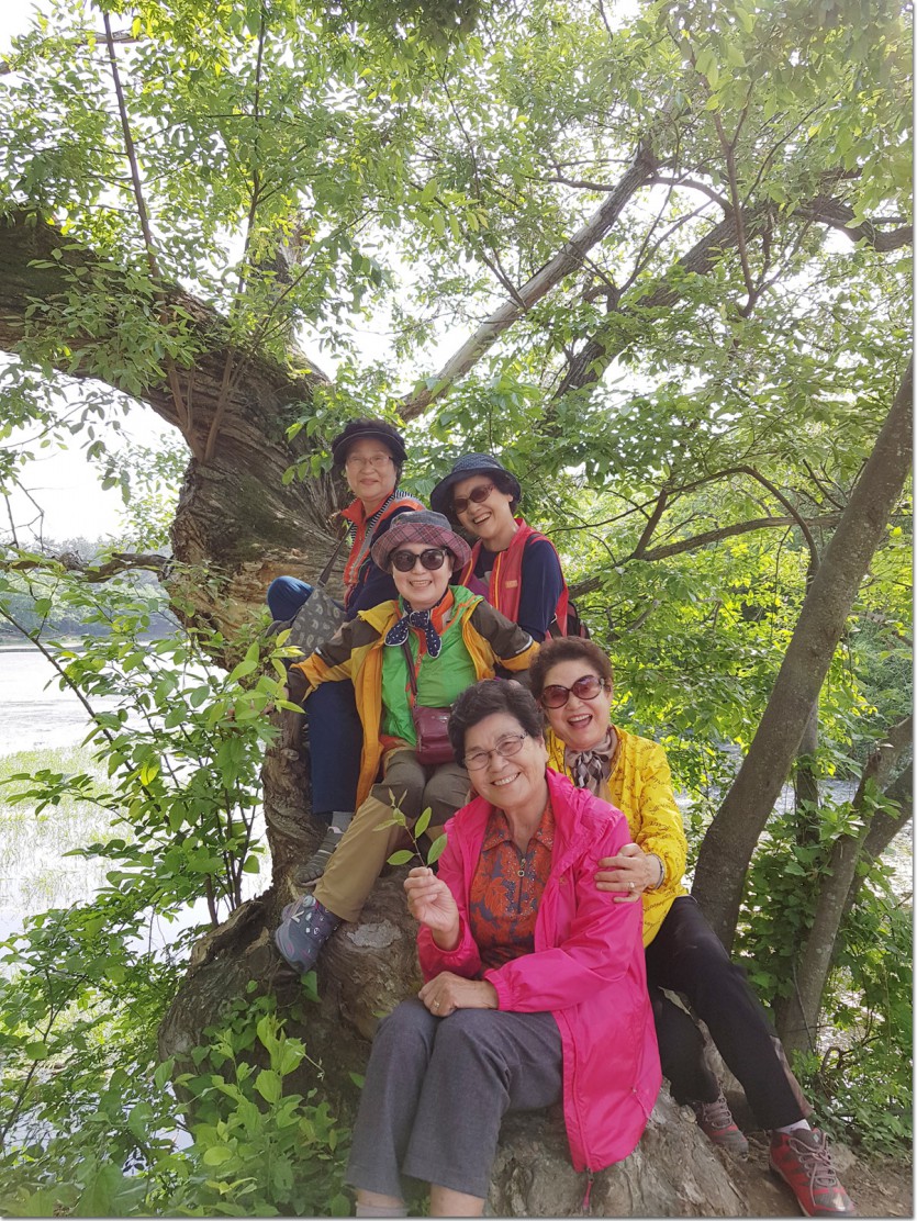 20180514_154734.jpg