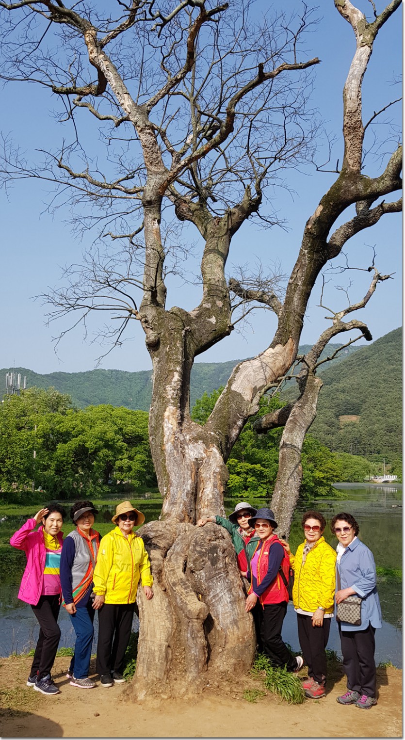 20180514_161634.jpg