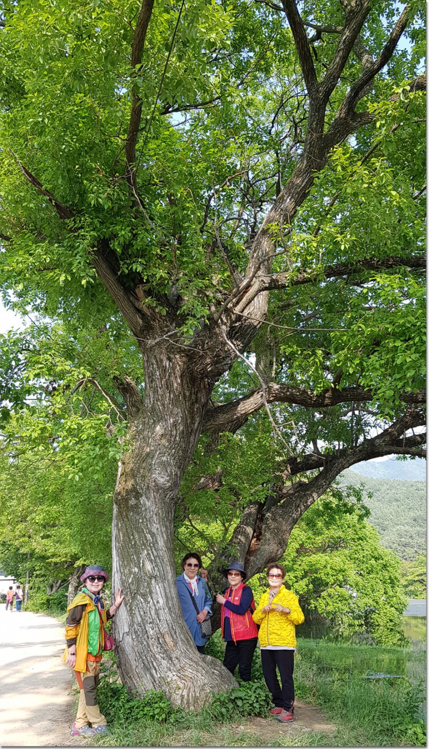 20180514_163125.jpg