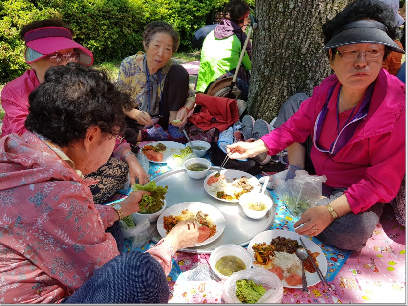 20190522_122958.jpg
