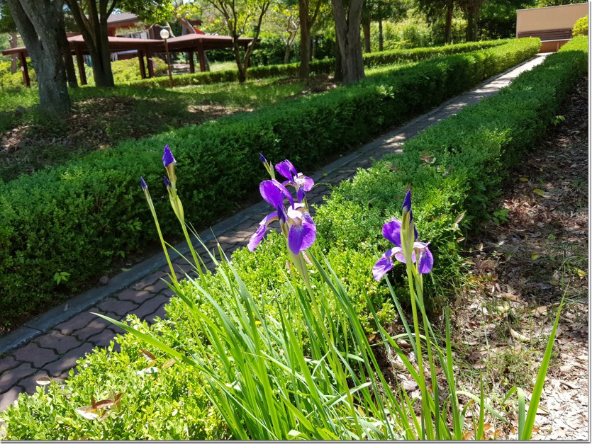 20190522_115748.jpg