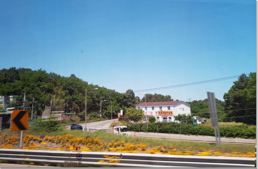 20190522_112946.jpg