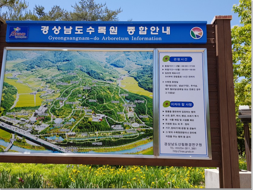 20190522_115613.jpg