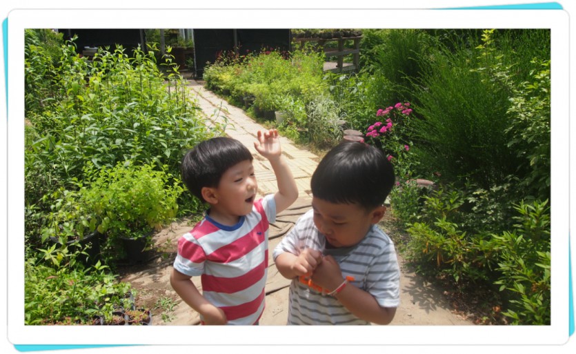 꾸미기_P1019341.JPG