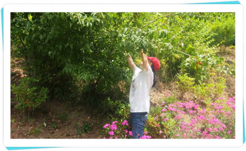 꾸미기_P1019340.JPG
