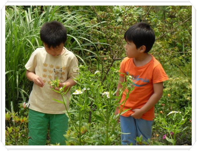2꾸미기_SDC11442.JPG