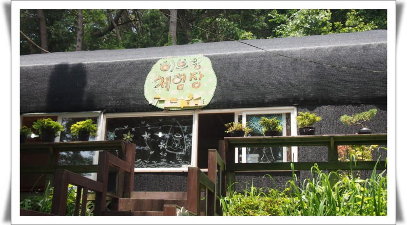 꾸미기_P1011216.JPG