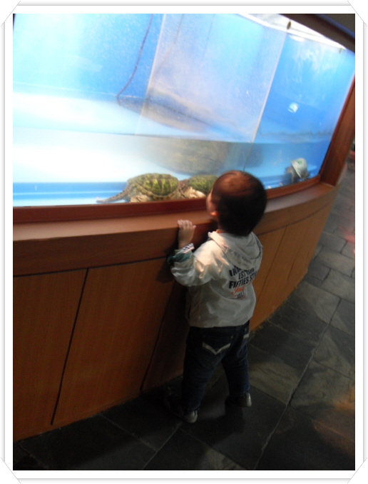2꾸미기_SDC10815.JPG