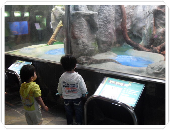 2꾸미기_SDC10816.JPG