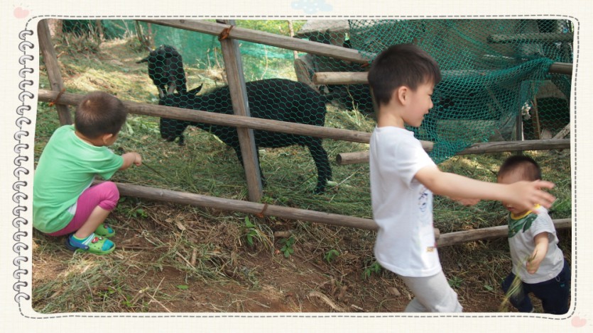 꾸미기_P1011073.JPG