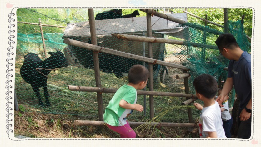 꾸미기_P1011068.JPG