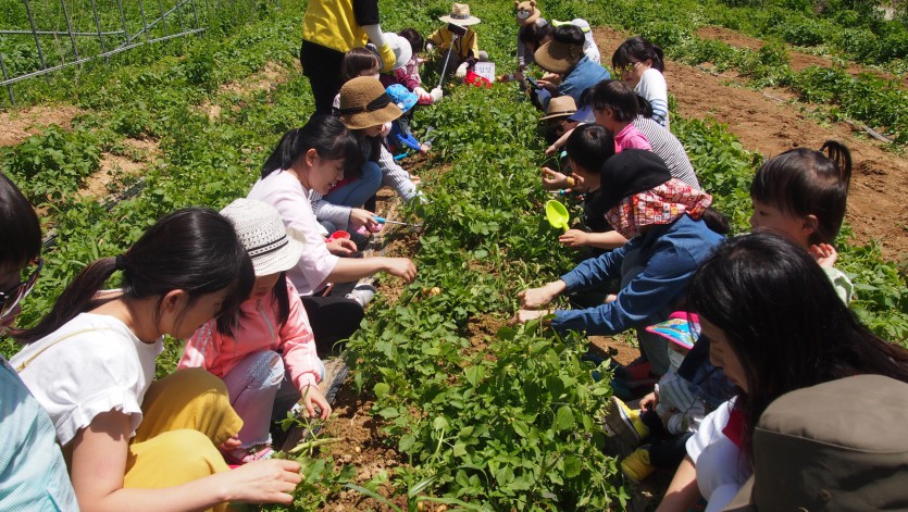 꾸미기_P1013870.JPG