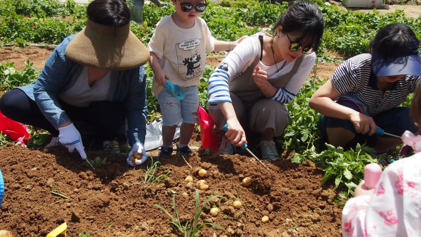 꾸미기_P1013879.JPG