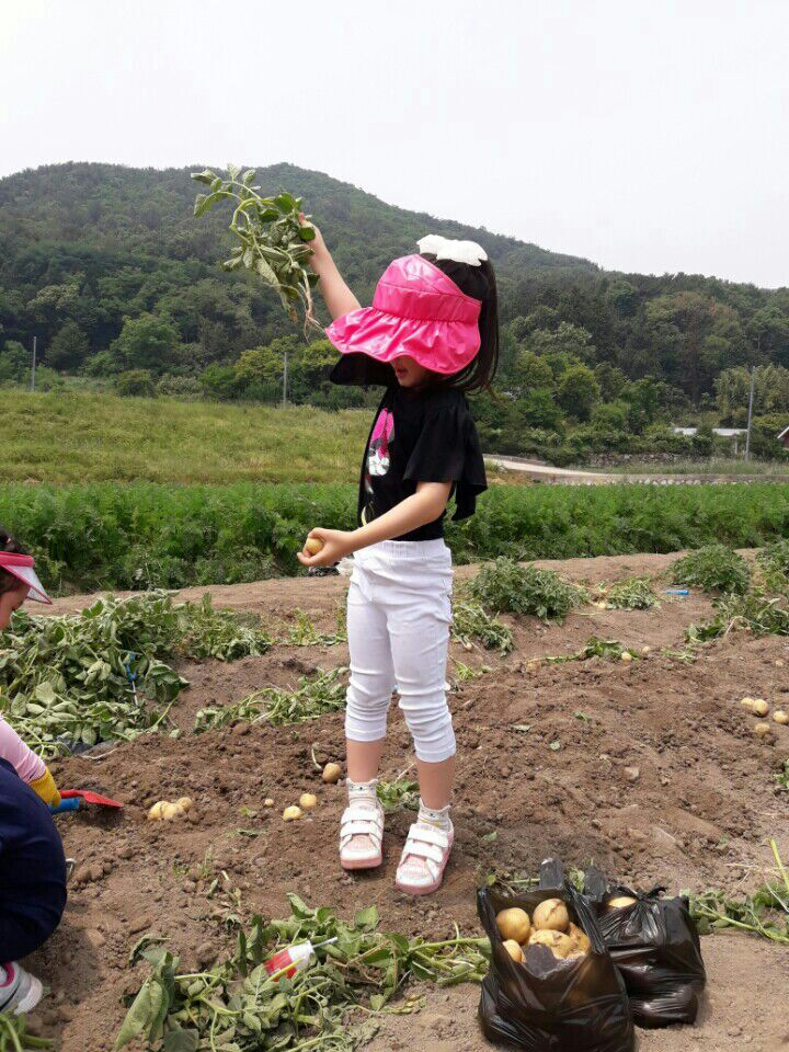 KakaoTalk_Moim_4MgnMrsZuTxEtt6ElUOXWdC7LfCEam.jpg