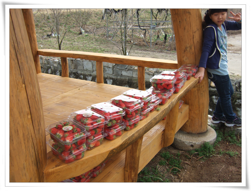 09내가딴 딸기.jpg