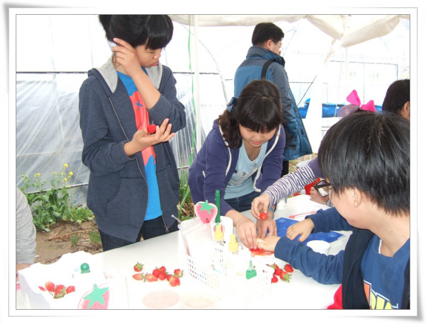 07딸기비누만들기3.jpg