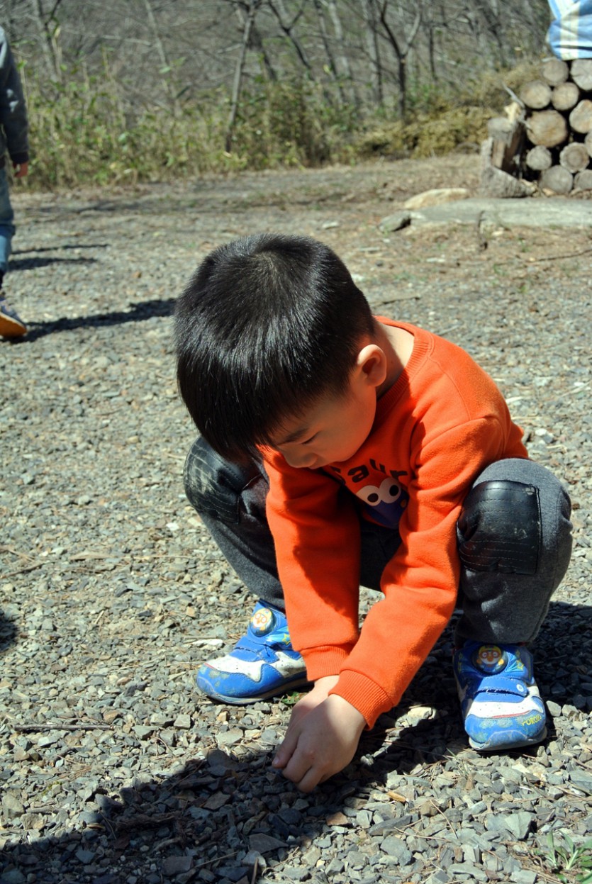 DSC_2833.jpg