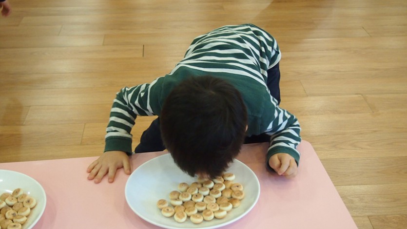 P1013157.jpg